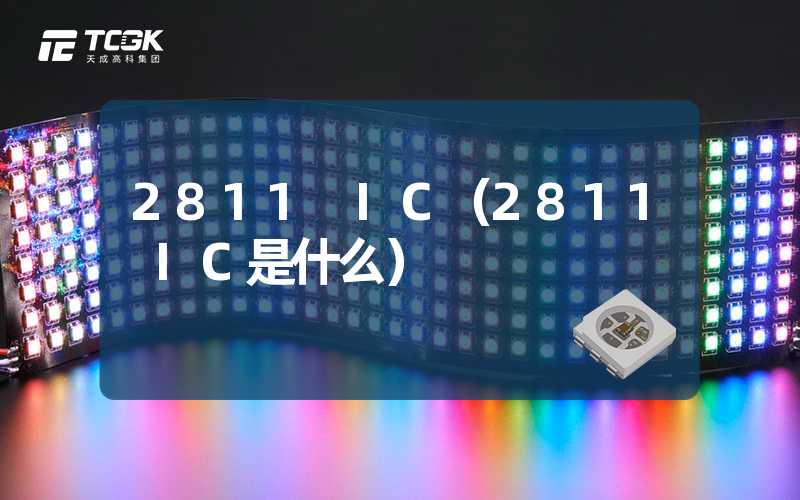 2811 IC（2811 IC是什么）